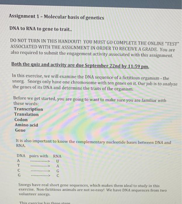 assignment 1 dna and rna