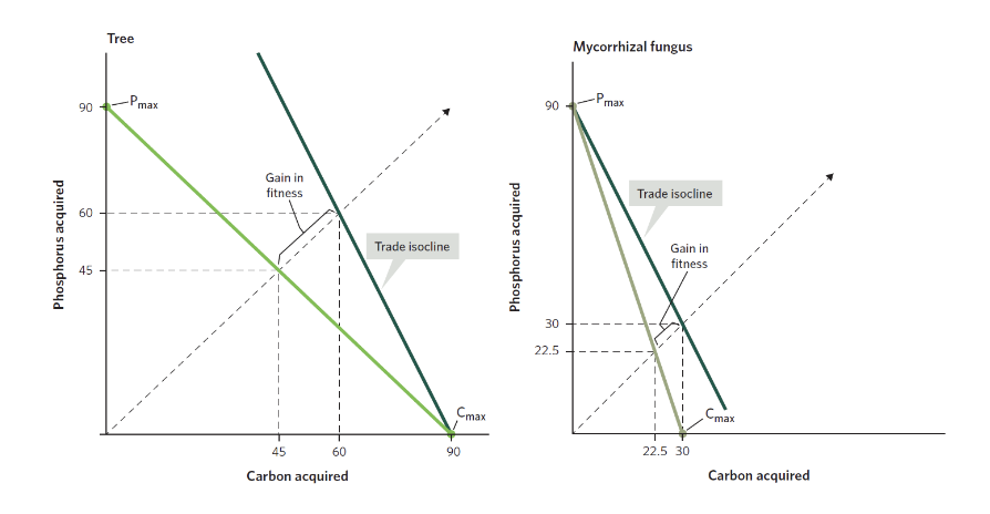 Solved In the above figure, there are two graphs of an | Chegg.com