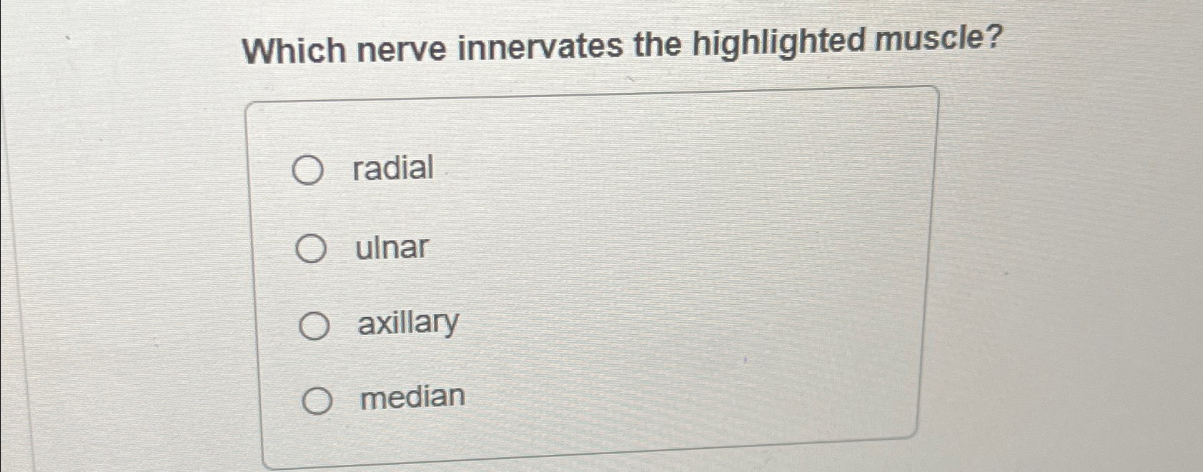 Solved Which Nerve Innervates The Highlighted | Chegg.com