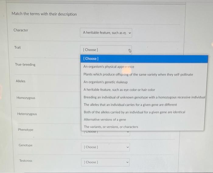 Solved Match the terms with their description Character A | Chegg.com