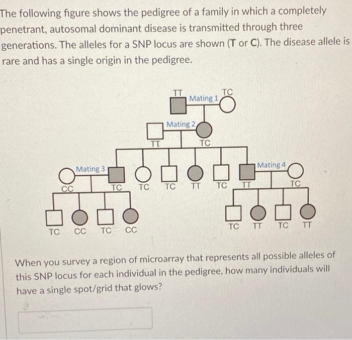 Solved The following figure shows the pedigree of a family | Chegg.com