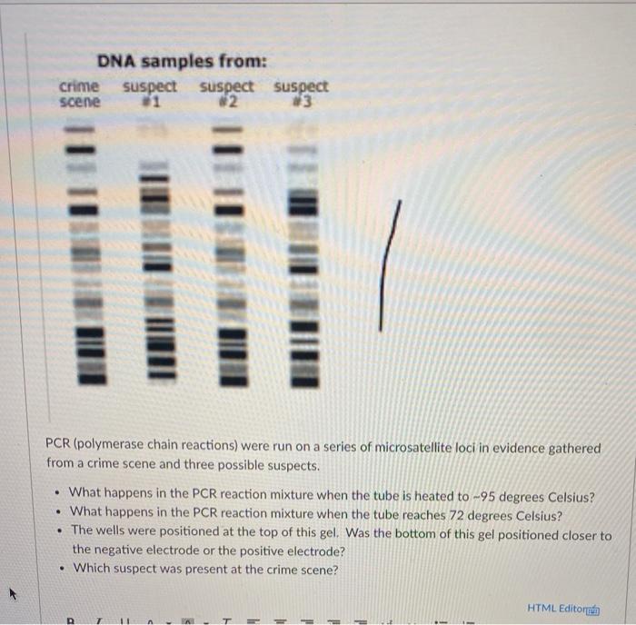 Solved DNA samples from: crime suspect suspect suspect scene | Chegg.com