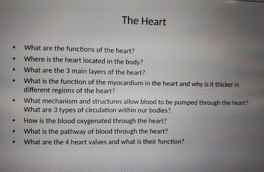 Solved The Heart What Are The Functions Of The Heart 1564