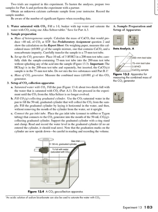 experiment 13 report sheet