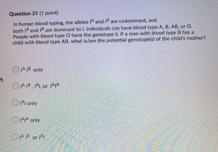 Question 21 (1 point) In human blood typing, the alleles (A and I are codominant, and both 1A and are dominant to i. Individu