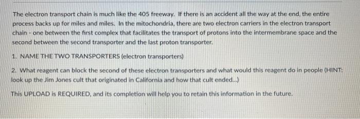 The electron transport chain is much like the 405 freeway. If there is an accident all the way at the end, the entire process