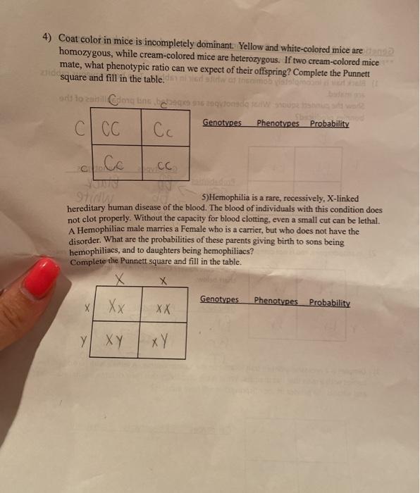 Solved 4) Coat color in mice is dominant.