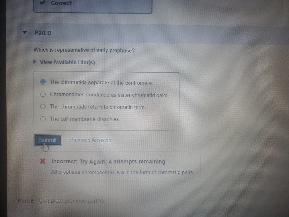 Solved Correct Part D Which Is Representative Of Early | Chegg.com Solved Correct Part D Which Is Representative Of Early | Chegg.com