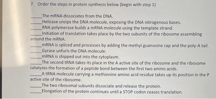 Solved 7. Order the steps in protein synthesis below (begin | Chegg.com