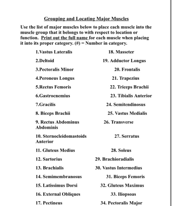 Solved Grouping and Locating Major Muscles Use the list of