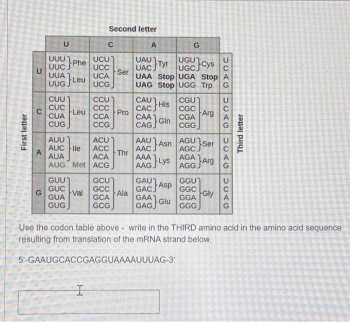 Solved Second Letter U с А G Uuu U Uua Uuc Phe Uug}leu Ucu