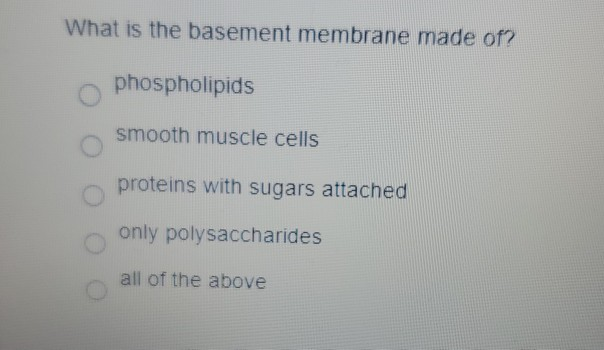 Solved What Is The Basement Membrane, What Is A Basement Membrane Made Of
