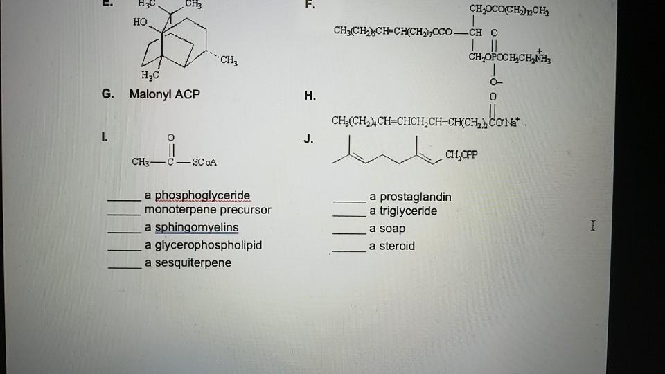 Solved 1. MATCH each of the following terms to a structure | Chegg.com