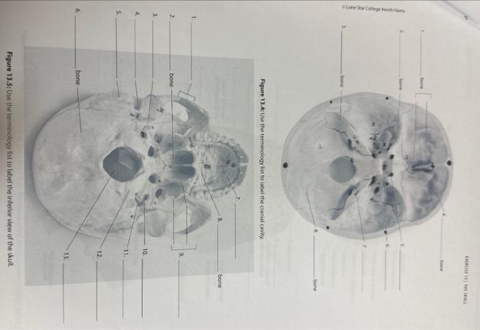 student submitted image, transcription available below