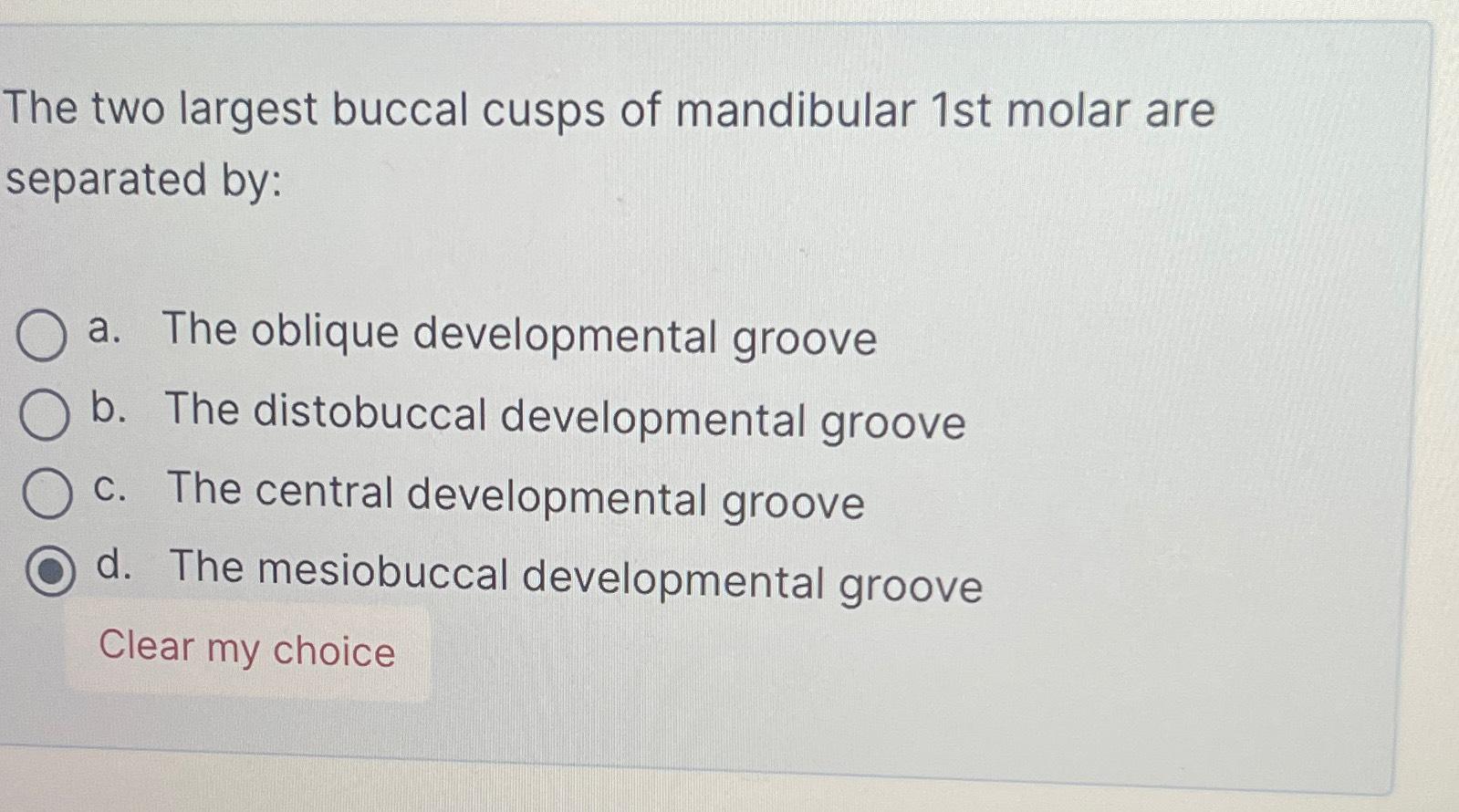Solved The two largest buccal cusps of mandibular 1st molar