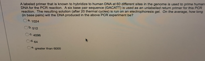chegg