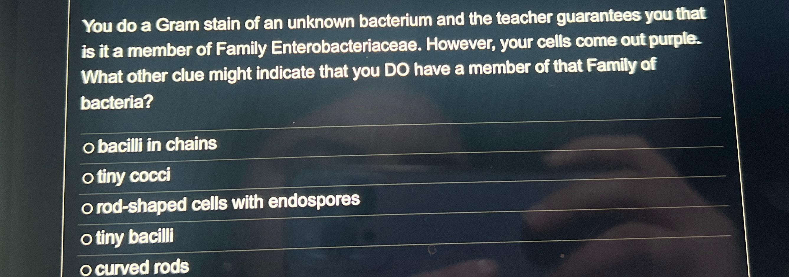 Solved You do a Gram stain of an unknown bacterium and the | Chegg.com