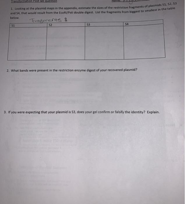 Solved Transformation Postulab question 1. Looking at the | Chegg.com