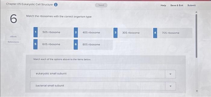 Solved Chapter 05 Eukaryotic Cell Structure 6 eBook | Chegg.com