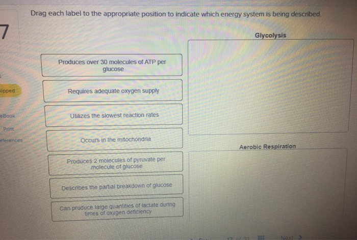 solved-drag-each-label-to-the-appropriate-position-to-chegg