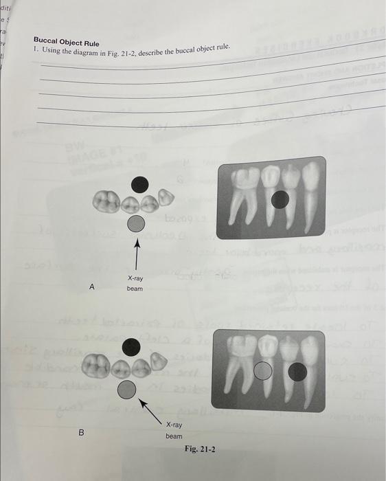 Solved diti es ra Buccal Object Rule ev 1. Using the diagram