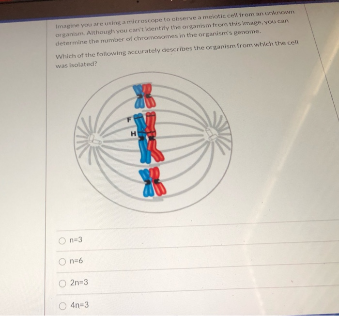 Solved Imagine you are using a microscope to observe a | Chegg.com