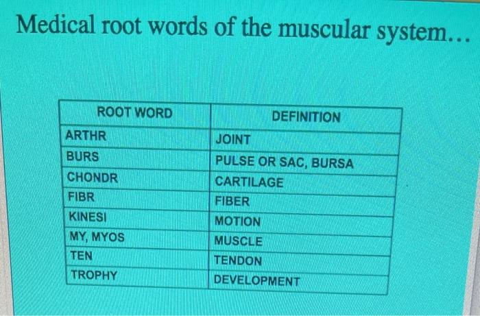 What Does The Root Word Arthr Mean