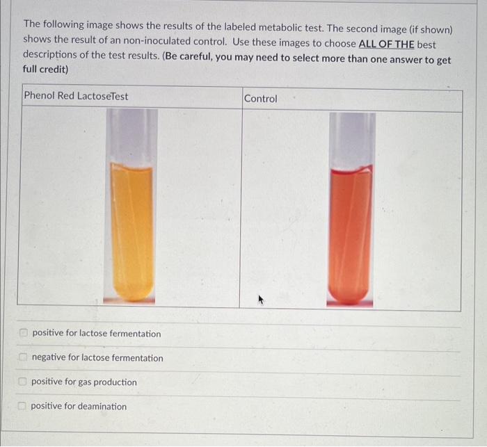 Solved The following image shows the results of the labeled | Chegg.com