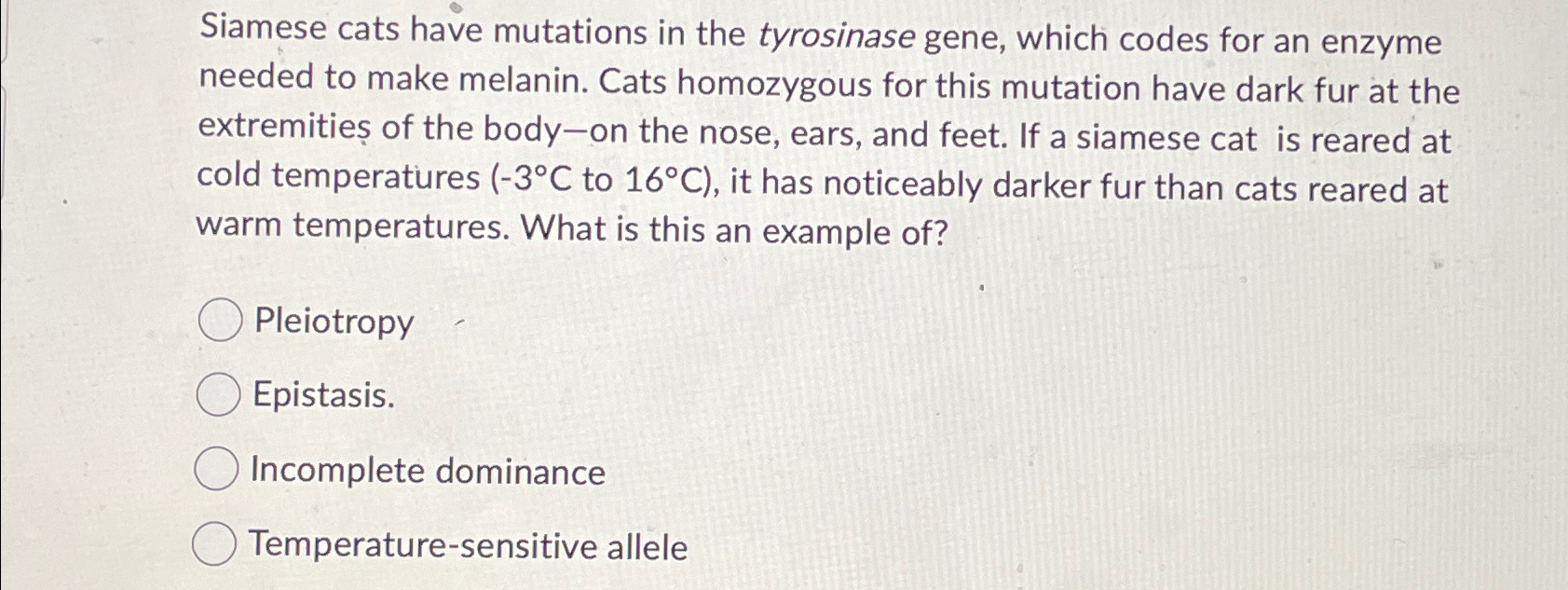 Solved Siamese cats have mutations in the tyrosinase gene, | Chegg.com