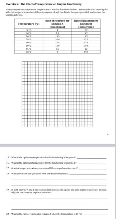 Solved Exercise 2: The Effect of Temperature on Enzyme | Chegg.com