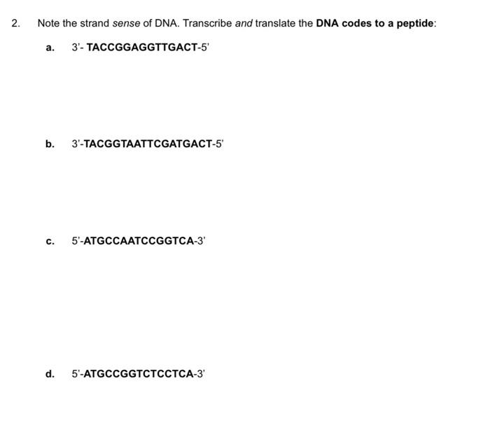 Solved 2. Note the strand sense of DNA. Transcribe and | Chegg.com