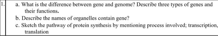 Solved 1. a. What is the difference between gene and genome? | Chegg.com