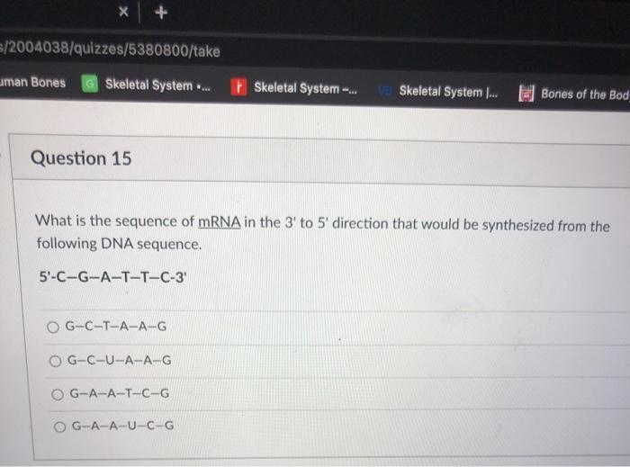 Solved what is the sequence of mRNA in the 3’ to 5’ | Chegg.com