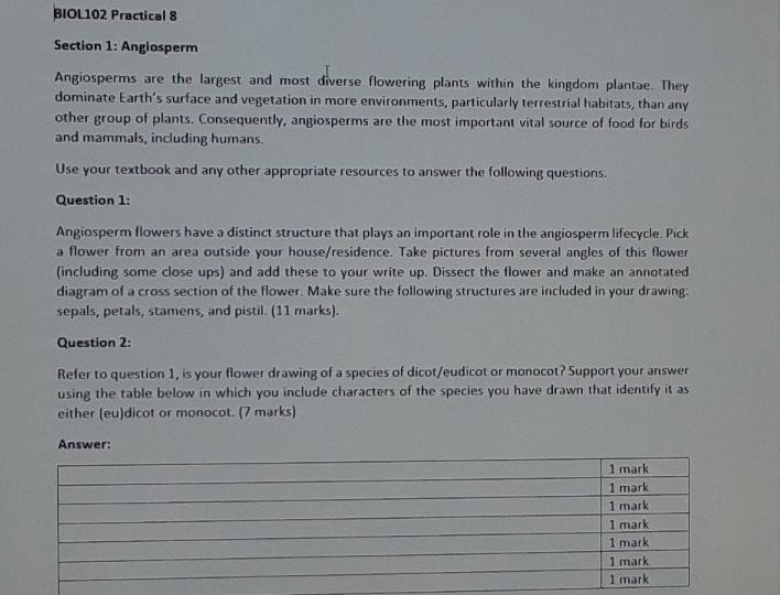 Solved BIOL102 Practical 8 Section 1 Angiosperm Angiosperms