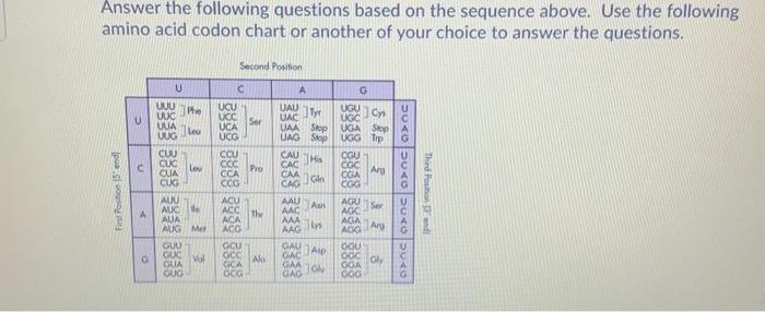 Solved 4- how many amino acids will this protein be made of | Chegg.com