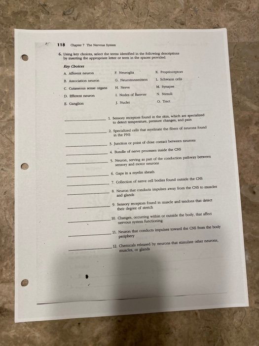 solved-120-chapter-7-the-nervous-sywem-9-using-the-key-chegg