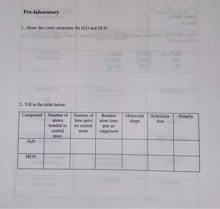 Solved Hybridization Molecule C Lewis Structure N So Numb Chegg Com