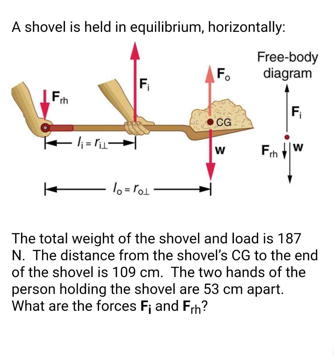 Solved A shovel is held in equilibrium, horizontally