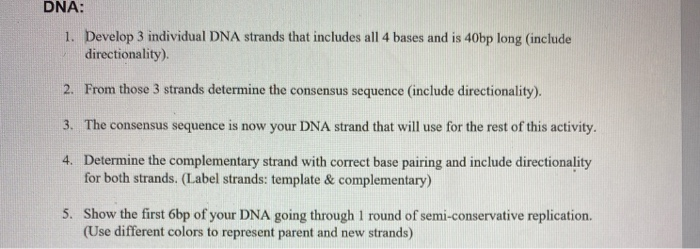 Solved DNA: 1. Develop 3 individual DNA strands that | Chegg.com