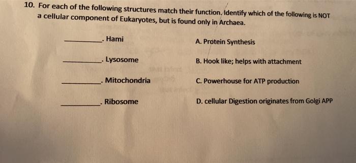 Solved 10. For each of the following structures match their | Chegg.com