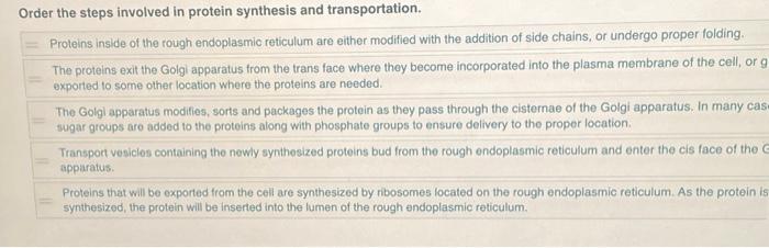 Solved Order the steps involved in protein synthesis and | Chegg.com