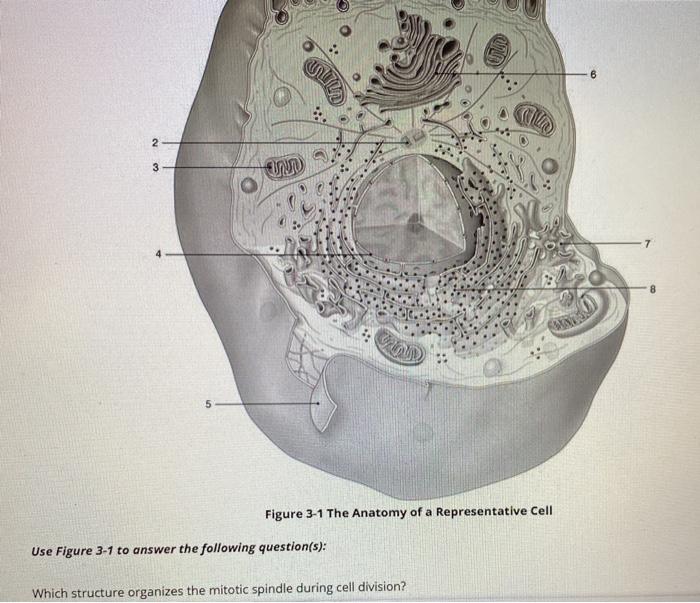Solved 6 2 7 5 Figure 3-1 The Anatomy Of A Representative | Chegg.com
