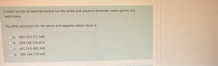 Solved A small section of bacterial enzyme has the amino | Chegg.com