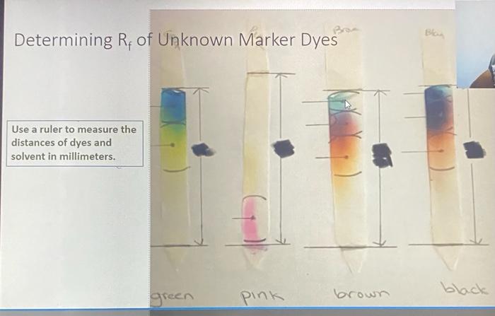 Solved Determining Rf of Unknown Marker Dyes Use a ruler to | Chegg.com