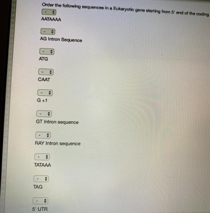 Solved order the following sequences in a eukaryotic gene | Chegg.com