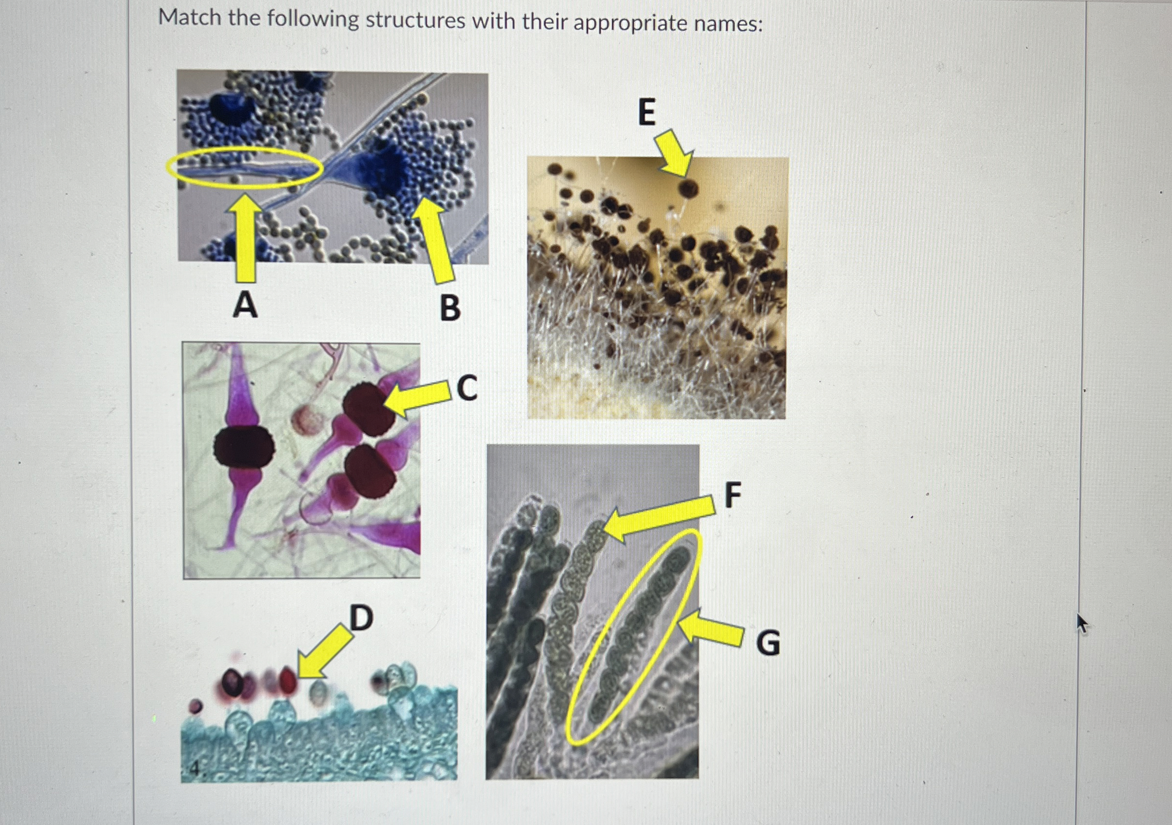 student submitted image, transcription available below