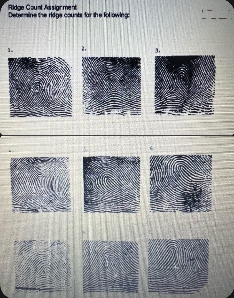 Determine The Ridge Counts Of The Fingerprint Images 5825