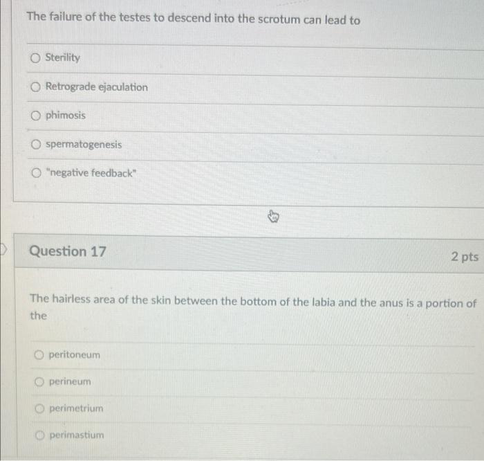 solved-the-failure-of-the-testes-to-descend-into-the-scrotum-chegg