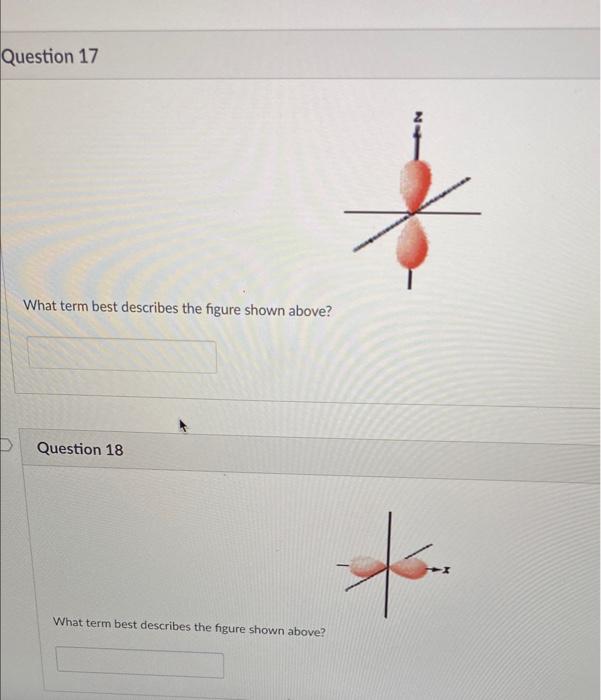 Solved What term best describes the figure shown above? | Chegg.com