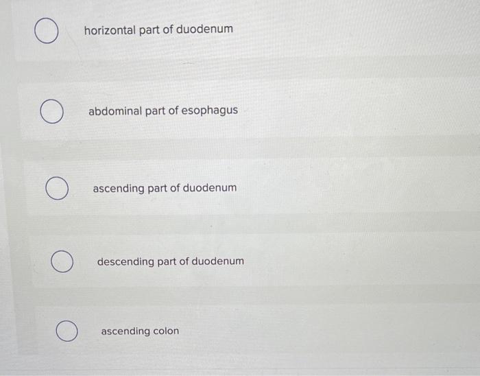 Solved Which structure is hiahliahted? horizontal part of | Chegg.com